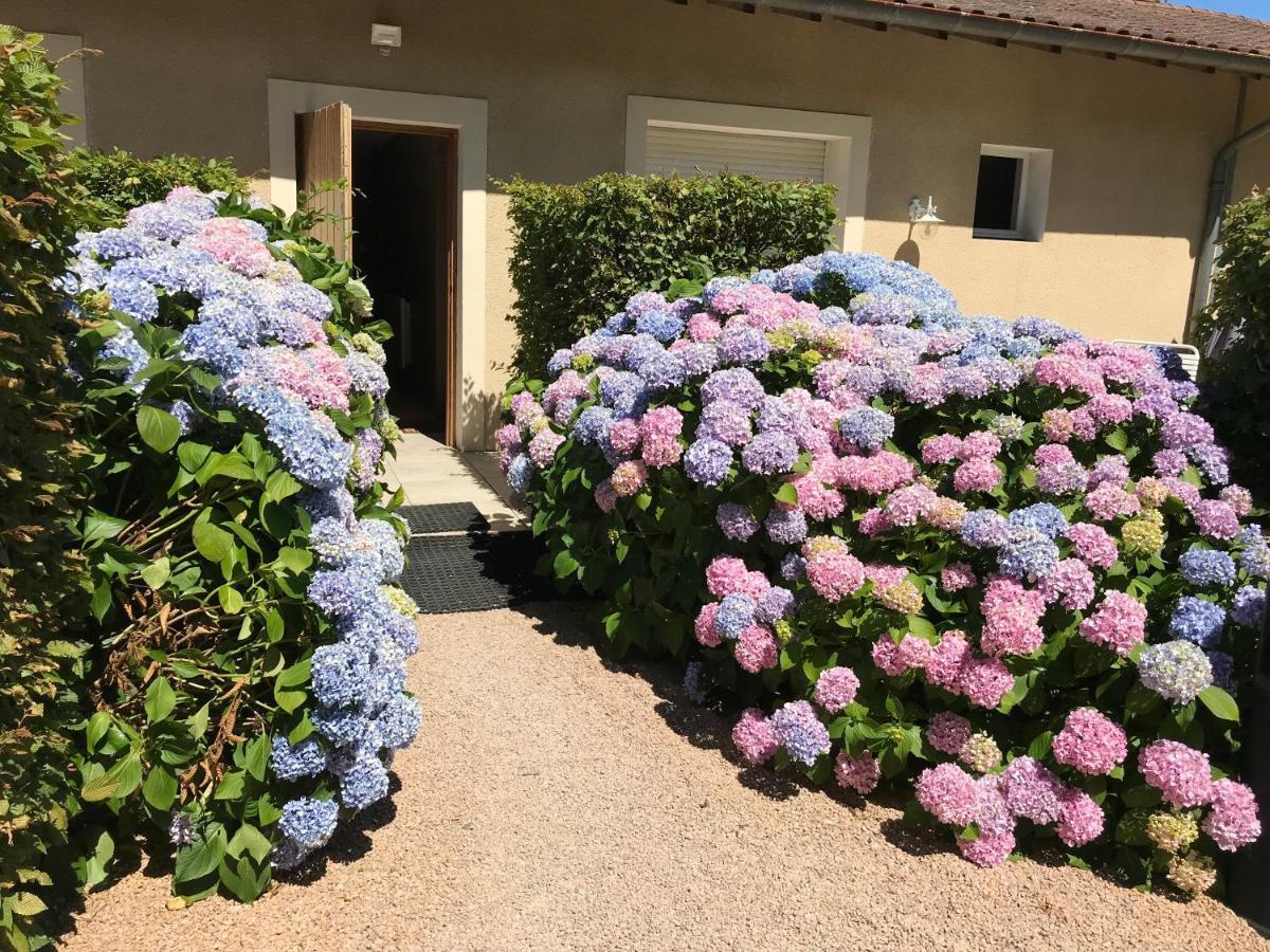 Auberge Les Hauts De Chénas Екстериор снимка