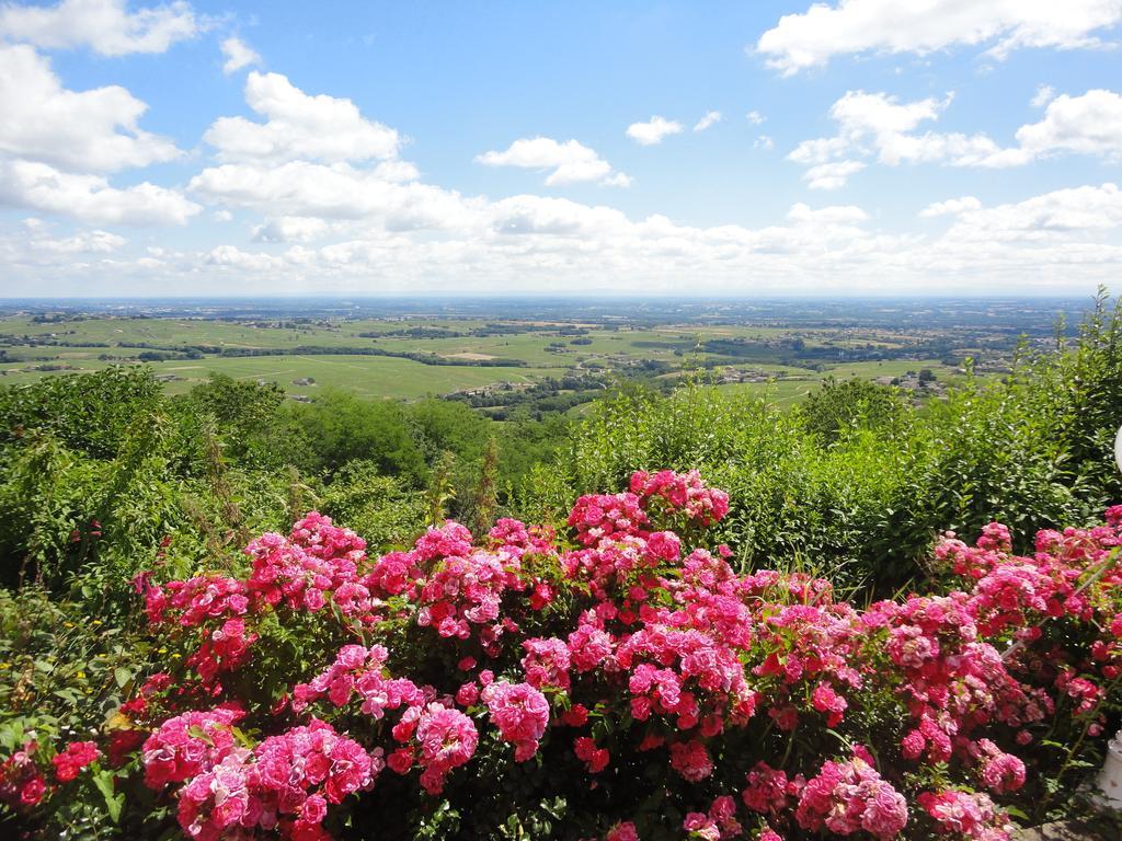 Auberge Les Hauts De Chénas Екстериор снимка